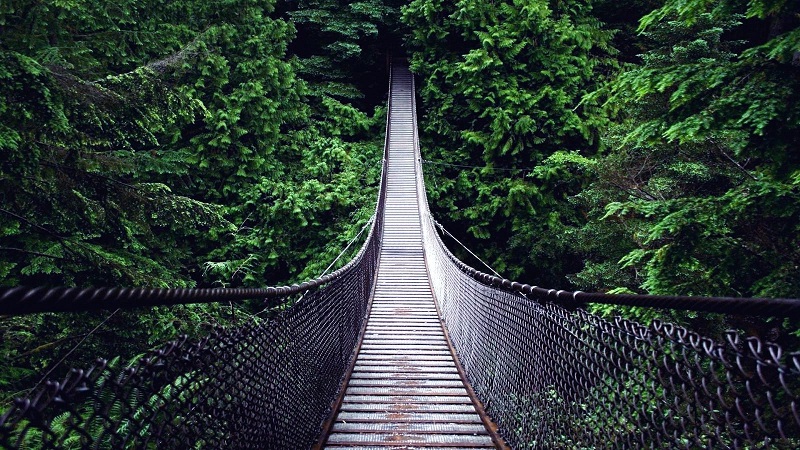 Capilano Suspension Bridge